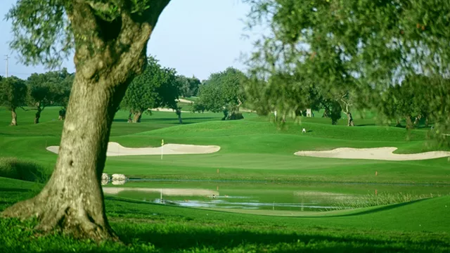 L'Algarve i la pràctica del Golf 