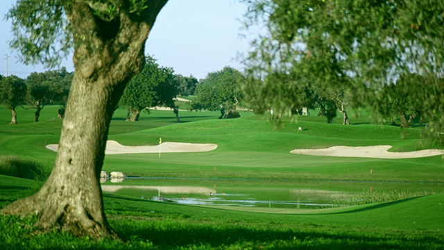 Algarve och utövandet av golf 