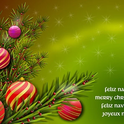 Grupo Palsul wishes all its customers, suppliers and friends a Merry Christmas and a Happy New Year.