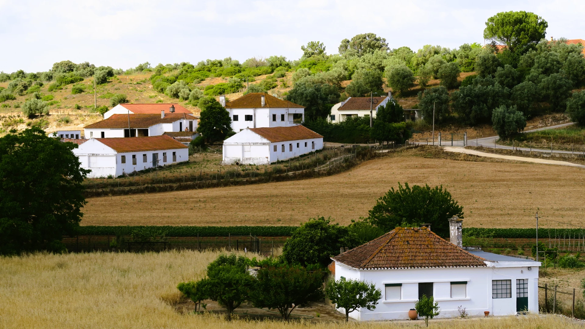 Procura-se Casas de Campo em Portugal
