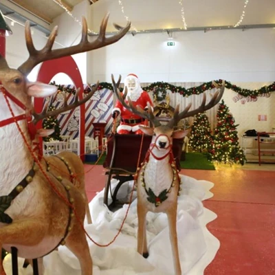 Portimão vender tilbage for at leve "A Christmas Dream" Palsul-gruppen Benyt lejligheden til at informere værdsatte kunder og leverandører om, at vi vil være "ferielukket mellem den 21. december og den 1. januar 2024".