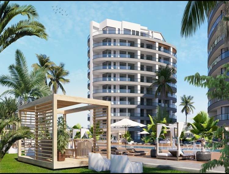 Studio apartments + front line to the sea with a small harbour + communal swimming pools + private hospital part of the site facilities + wellness & SPA + payment plan  