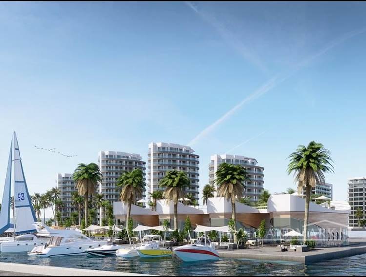 Studio apartments + front line to the sea with a small harbour + communal swimming pools + private hospital part of the site facilities + wellness & SPA + payment plan  